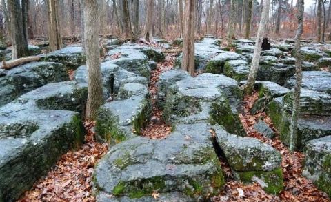 The karrens that supported the Union defensive line at Stones River. Union soldiers were to abandon this position after hours of fighting because of a lack of ammunition. Scott Hippensteel