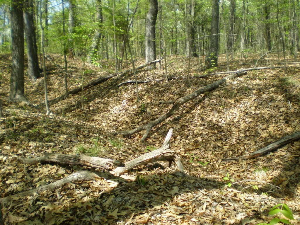 Existing earthworks.