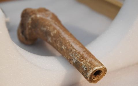 Civil War Bones Tell Horror Story