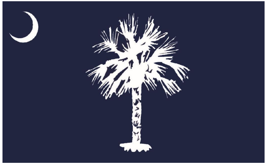 Historians Picked A New Design For the State Flag Of South Carolina. Everyone Hates It.