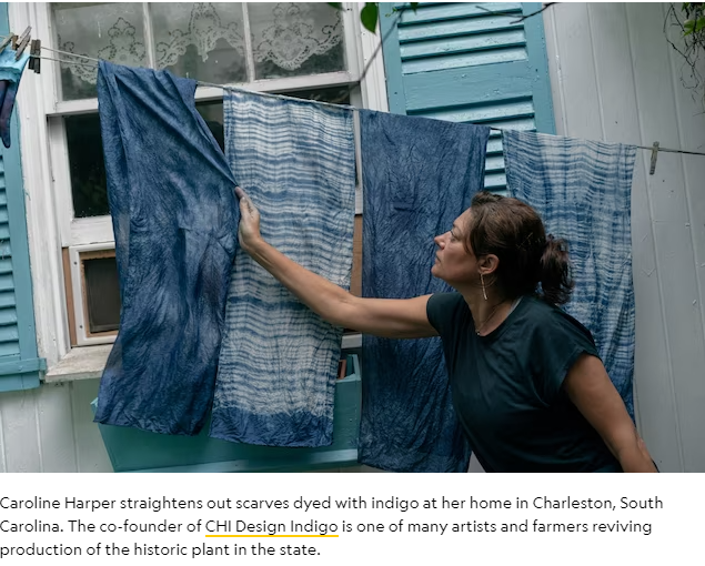 Indigo is making a comeback in South Carolina