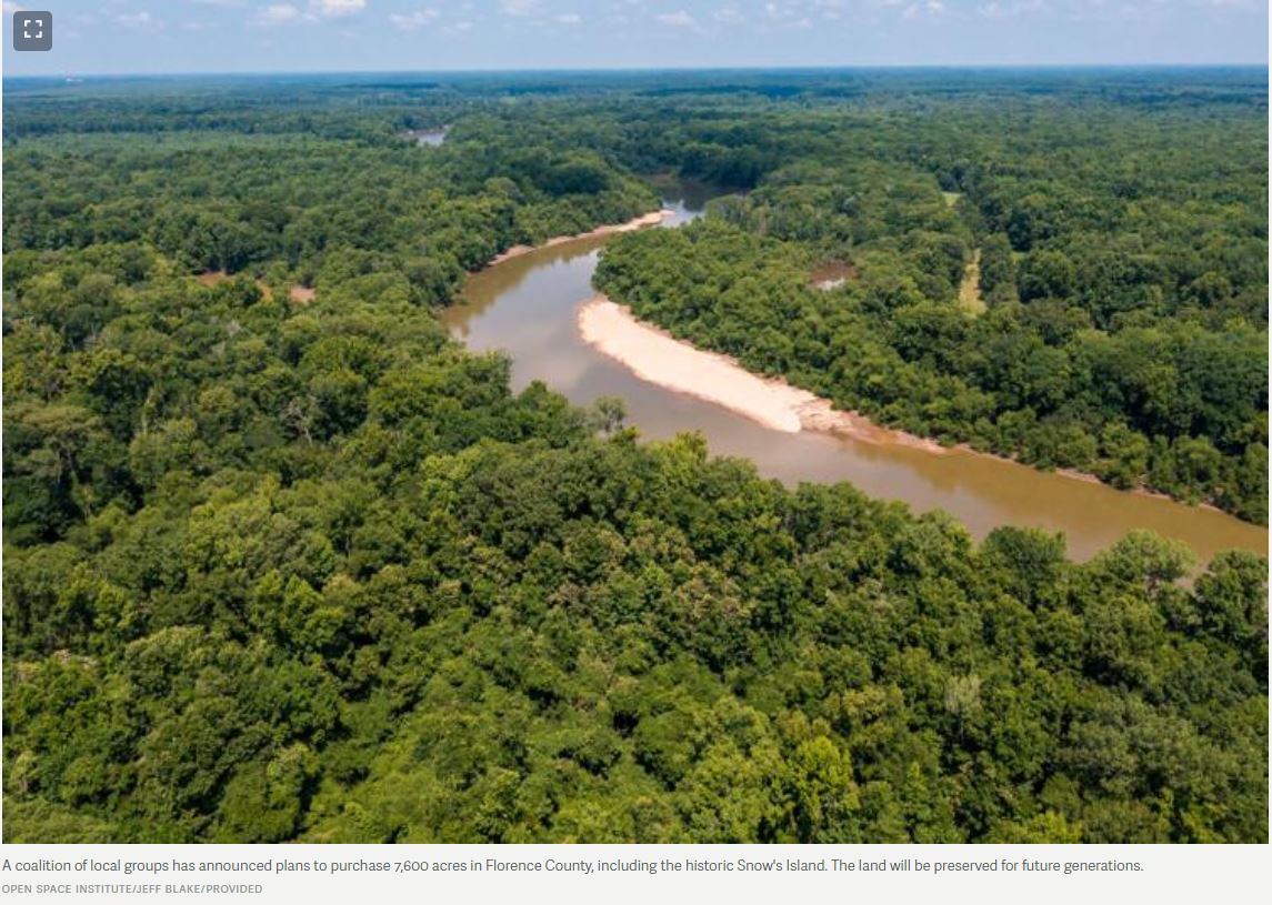 News From Around the South 7/15 to 7/22