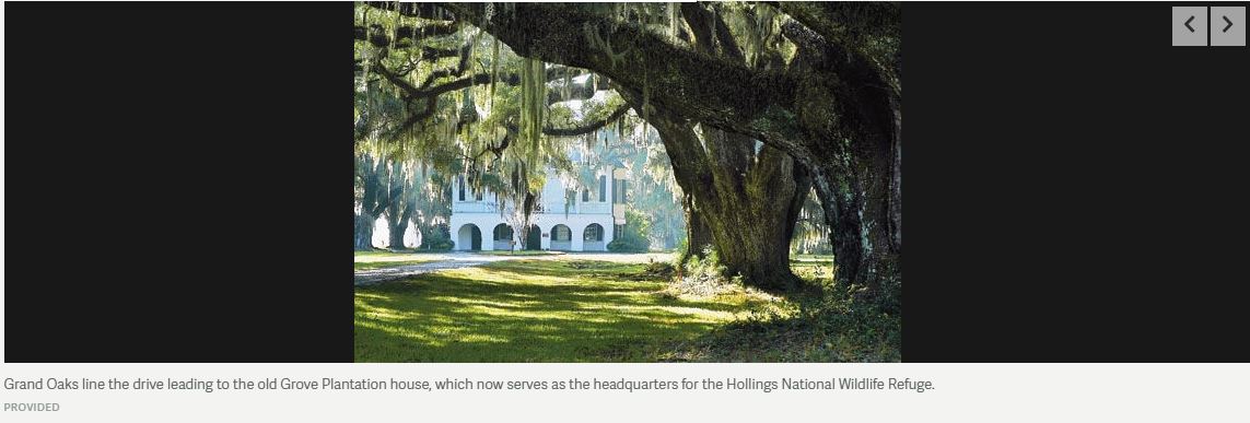 News From Around the South, 11/18 to 11/25