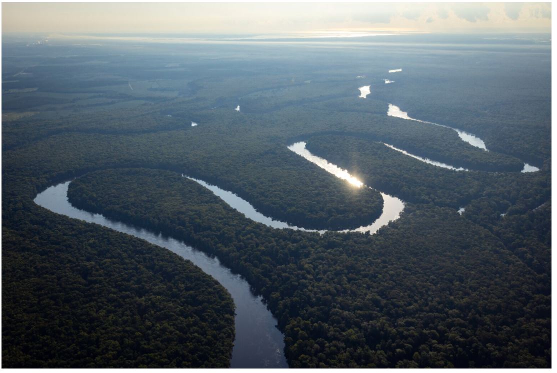 News From Around the South, 10/28 to 11/4