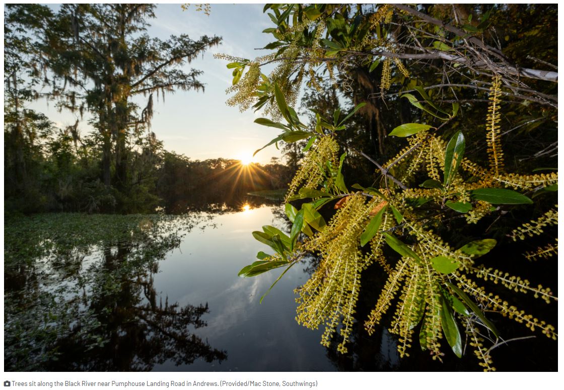 News From Around the South, 1/6 to 1/13